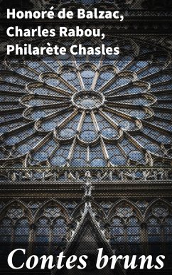 Cover Contes bruns (eBook, ePUB)