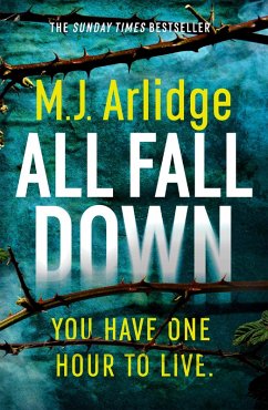 All Fall Down (eBook, ePUB) - Arlidge, M. J.