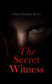 The Secret Witness (eBook, ePUB)