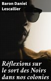 Réflexions sur le sort des Noirs dans nos colonies (eBook, ePUB)