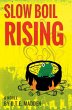 Slow Boil Rising (eBook, ePUB) - Bild 1