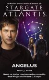 STARGATE ATLANTIS Angelus (eBook, ePUB) STARGATE ATLANTIS Angelus (eBook, ePUB)
