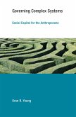 Governing Complex Systems (eBook, ePUB)
