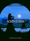 Amnesia (eBook, ePUB)