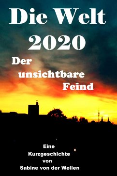 Die Welt 2020 (eBook, ePUB) - von der Wellen, Sabine