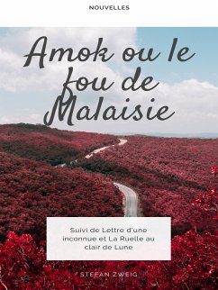 Amok ou le Fou de Malaisie (eBook, ePUB)