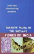 Parasite Fauna in the Wetland Fishes of... - Bild 1