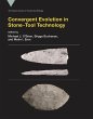 Convergent Evolution in Stone-Tool... - Bild 1