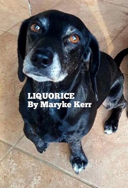 Liquorice (eBook, ePUB)