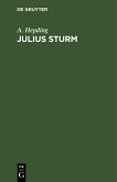 Julius Sturm (eBook, PDF)