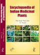 Encyclopaedia of Indian Medicinal... - Bild 1