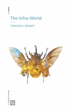 The Infra-World (eBook, ePUB) - Bonnet, Francois J.