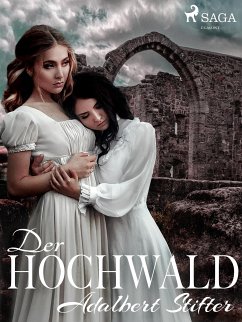 Der Hochwald (eBook, ePUB) - Stifter, Adalbert