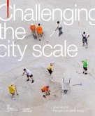 Challenging The City Scale (eBook, PDF)