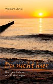 Du nicht hier (eBook, ePUB)