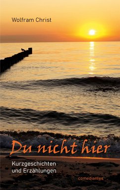 Du nicht hier (eBook, ePUB) - Christ, Wolfram