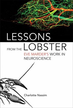 Cover Lessons from the Lobster (eBook, ePUB)