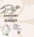 Anatomy Of The Rabbit (eBook, ePUB)