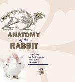 Anatomy Of The Rabbit (eBook, ePUB) Anatomy Of The Rabbit (eBook, ePUB)