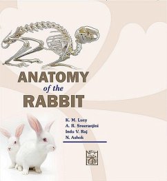 Anatomy Of The Rabbit (eBook, ePUB) - M., Lucy K.; R, Sreeranjini A.