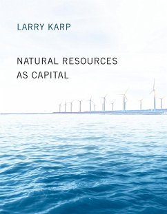 Natural Resources as Capital (eBook, ePUB) - Karp, Larry