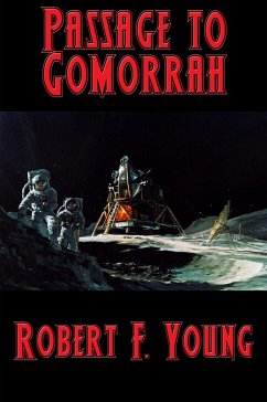 Cover Passage to Gomorrah (eBook, ePUB)