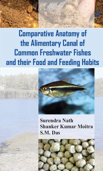 Comparative Anatomy Of The Alimentary Canal Of Common Freshwater Fishes And Their Food And Feeding Habits (eBook, ePUB)