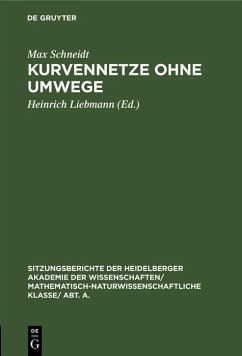 Cover Kurvennetze ohne Umwege (eBook, PDF)