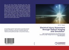 Electrical Injury Assessment through Optical Imaging and Simulation - Nguyen, Anh Thu T.