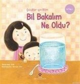 Bil Bakalim Ne Oldu