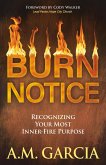 Burn Notice (eBook, ePUB) Burn Notice (eBook, ePUB)