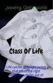 Class Of Life (eBook, ePUB)