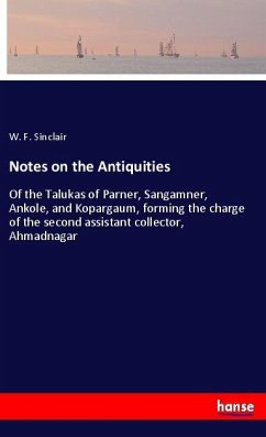 Notes on the Antiquities - Sinclair, W. F.