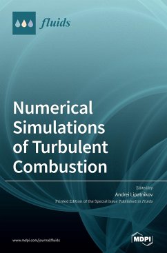 Numerical Simulations of Turbulent Combustion - Lipatnikov, Andrei