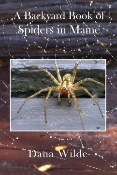 Cover A Backyard Book of Spiders in Maine