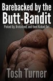 Barebacked by the Butt-Bandit: Picked Up, Brutalized, and Then Kicked Out (eBook, ePUB) Barebacked by the Butt-Bandit: Picked Up, Brutalized, and Then Kicked Out (eBook, ePUB)
