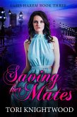 Saving Her Mates (Paris Harem, #3) (eBook, ePUB) Saving Her Mates (Paris Harem, #3) (eBook, ePUB)