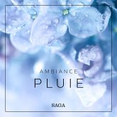 Ambiance - Pluie (MP3-Download)