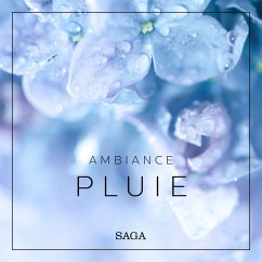 Cover Ambiance - Pluie (MP3-Download)