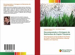 Decomposição e Ciclagem de Nutrientes de Capim Tanzânia