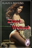 Im Zirkel der Wollust (BDSM, MaleDom) (eBook, PDF)