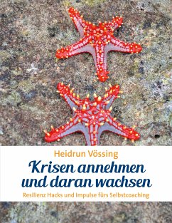 Krisen annehmen und daran wachsen (eBook, ePUB)