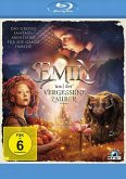 Emily und der vergessene Zauber