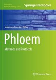 Phloem