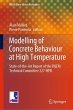 Modelling of Concrete Behaviour at High... - Bild 1