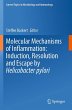 Molecular Mechanisms of Inflammation:... - Bild 1
