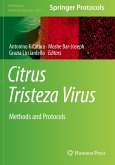 Citrus Tristeza Virus