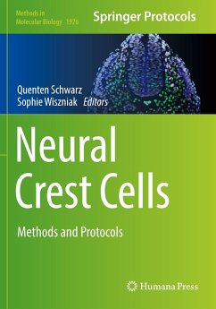 Neural Crest Cells