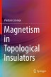 Magnetism in Topological Insulators - Bild 1