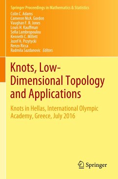 Knots, Low-Dimensional Topology and Applications